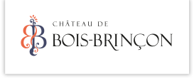 Château de Bois Brinçon